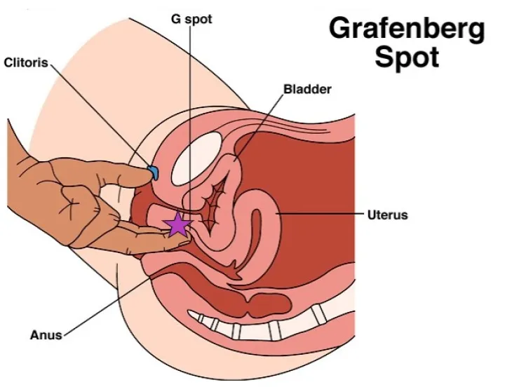 g-spot stimuleren met vinger