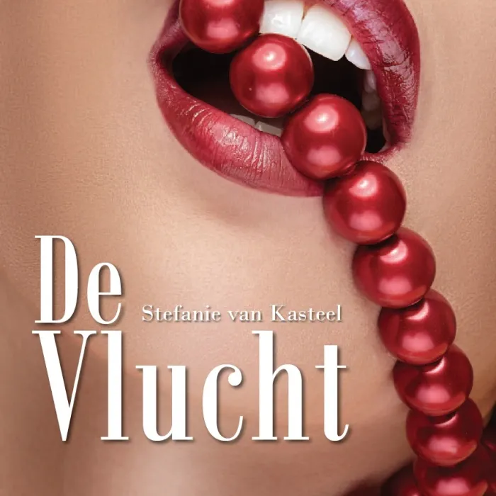 de vlucht, erotische roman van Stefanie van Kasteel, voorkant