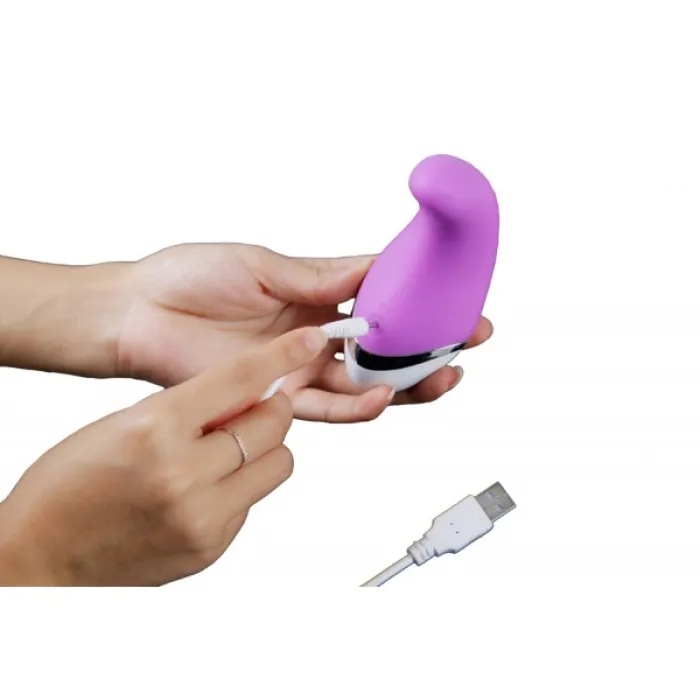 dibe pleasure stimulator opladen