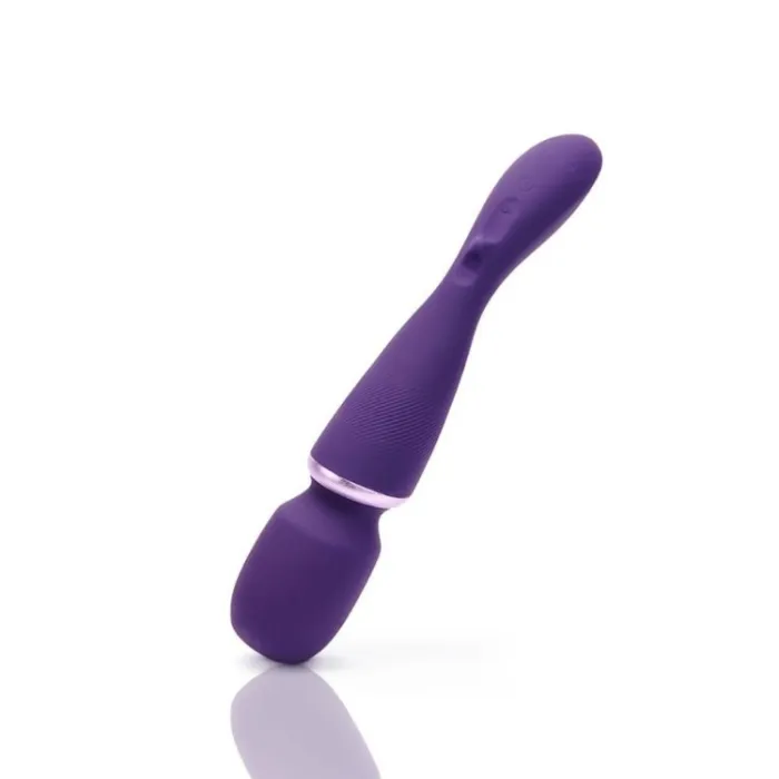 we-vibe wand